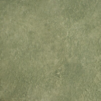 Moss Wash - 426 Moss Wash - 426