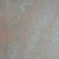 Oak Moss - 682 Oak Moss - 682