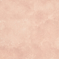 Shell Wash - 423 Shell Wash - 423